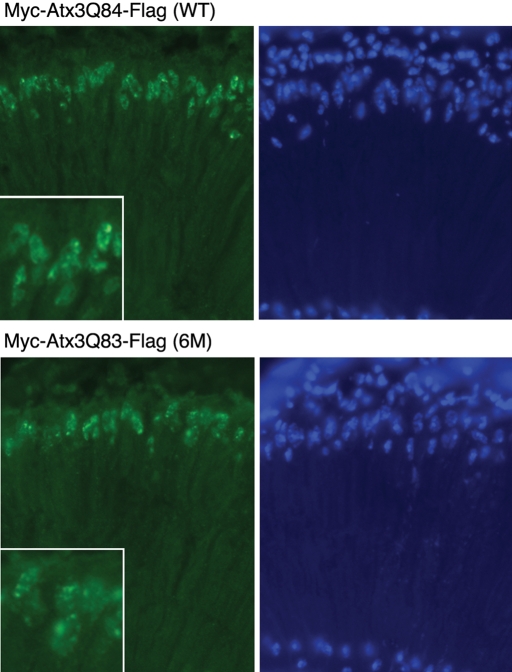 Figure 4.