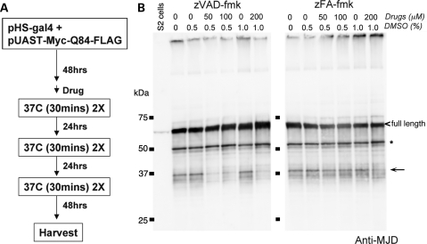 Figure 2.