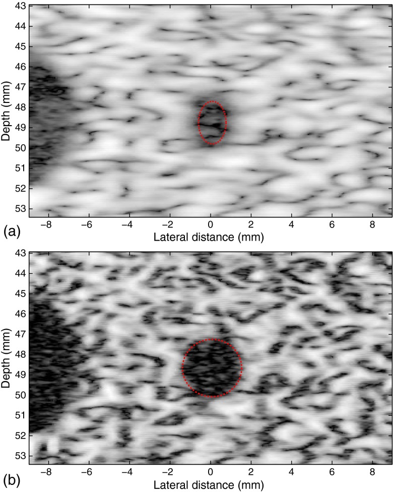 Fig. 10