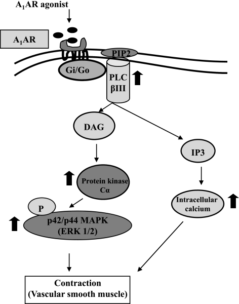 Fig. 8.