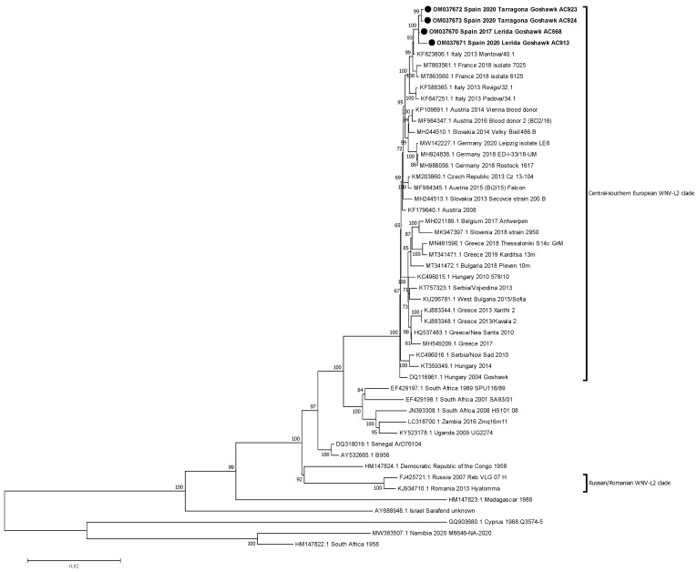 Figure 2