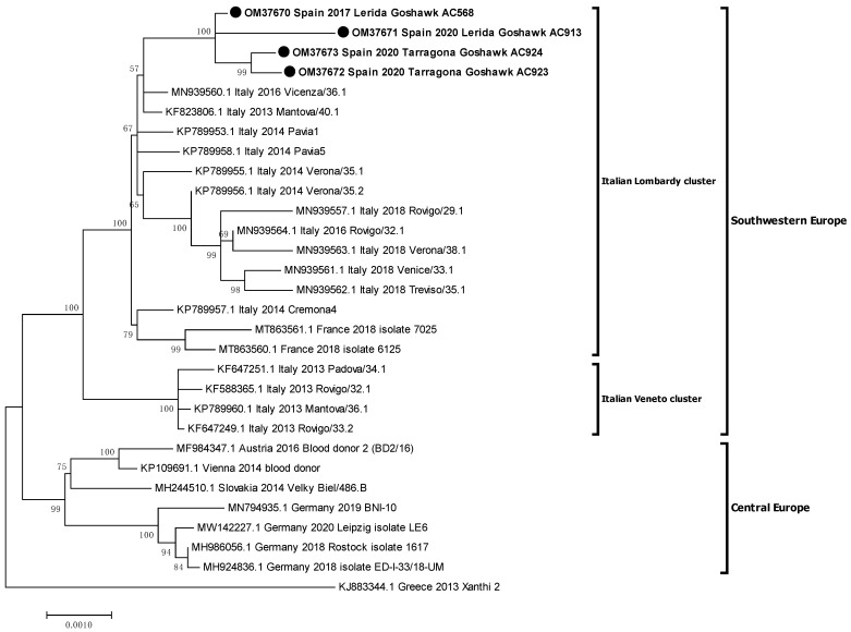 Figure 3