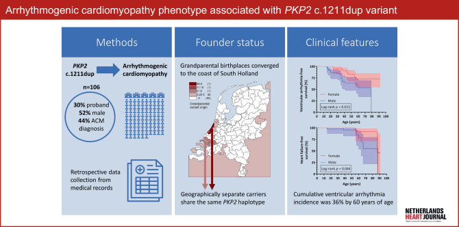 The arrhythmogenic cardiomyopathy phenotype associated with PKP2 c ...