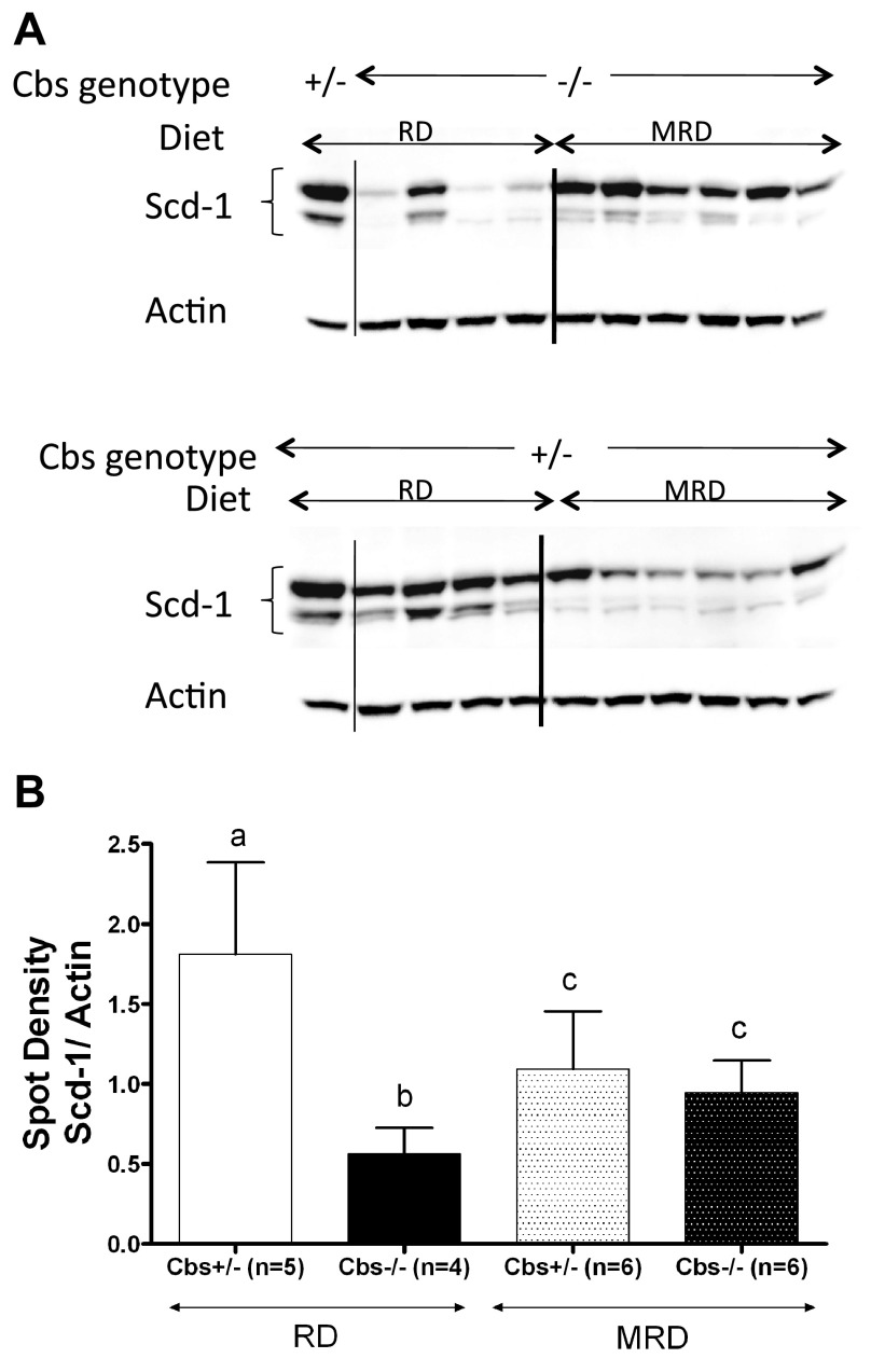 Figure 5.