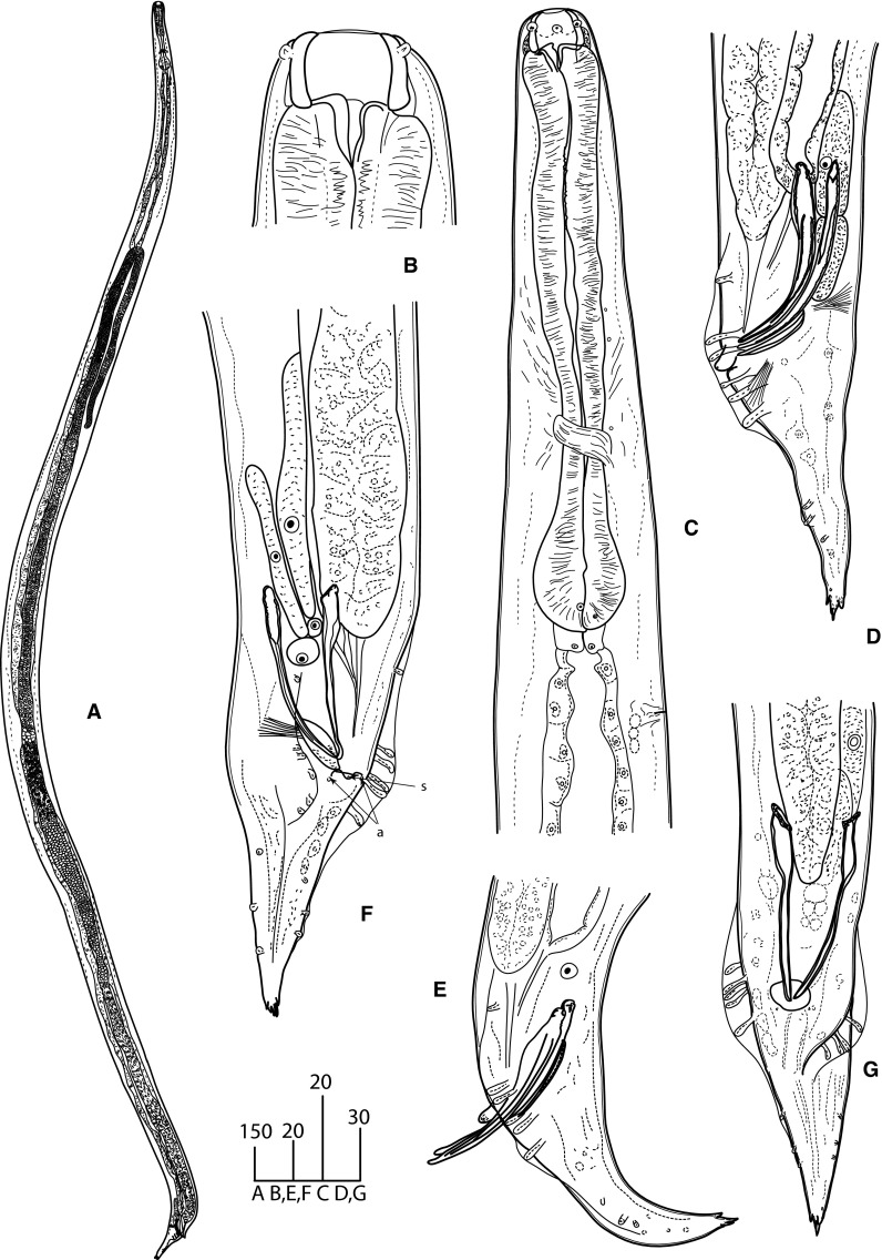 Fig. 2