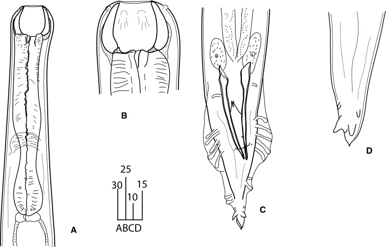 Fig. 5