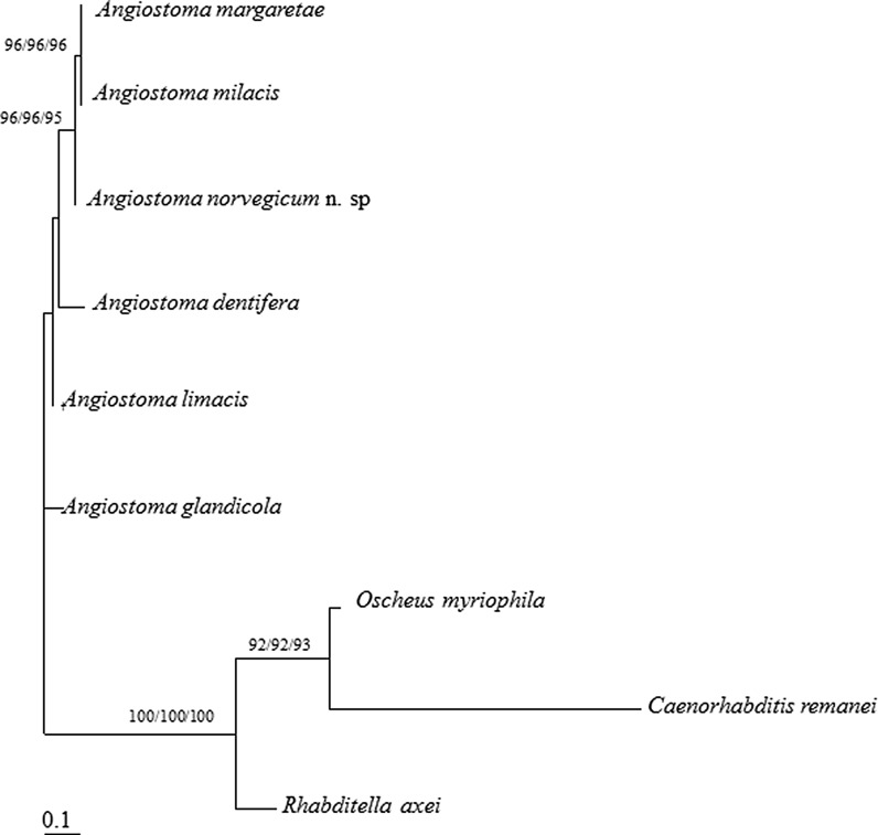 Fig. 6