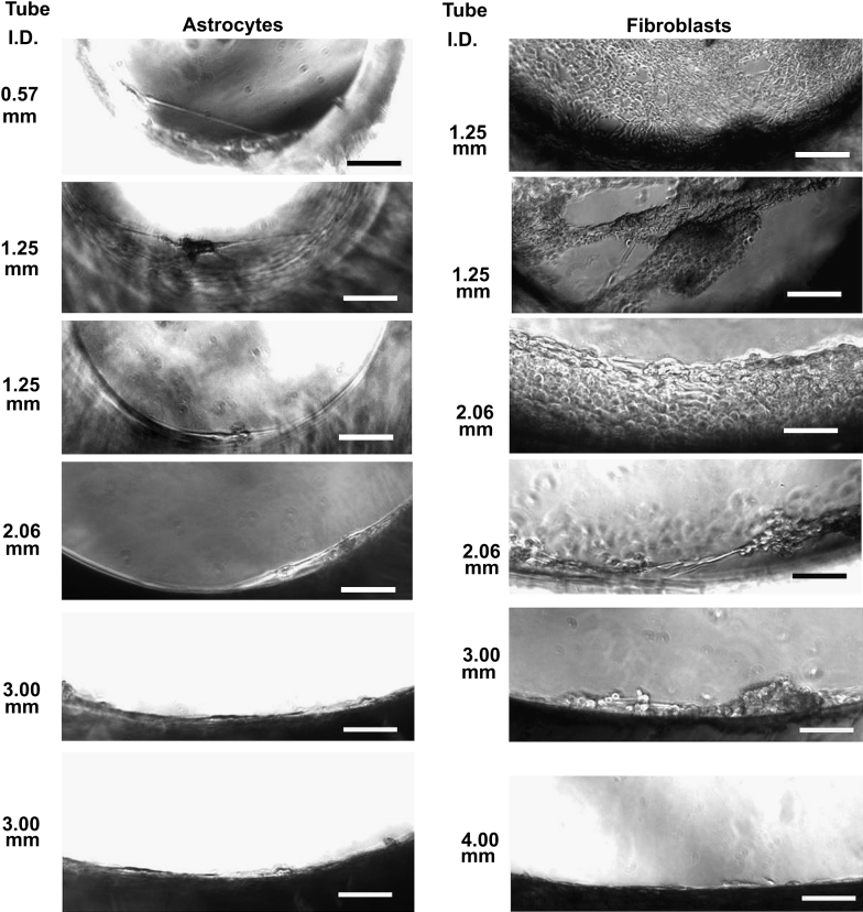 Fig. 9