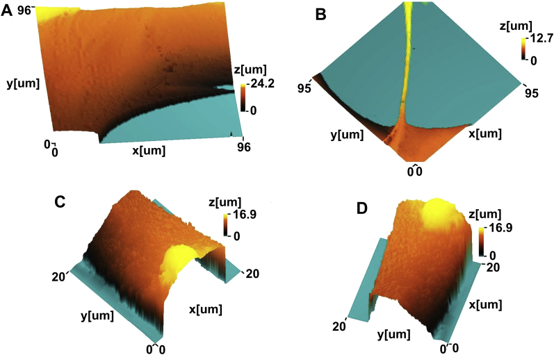 Fig. 3