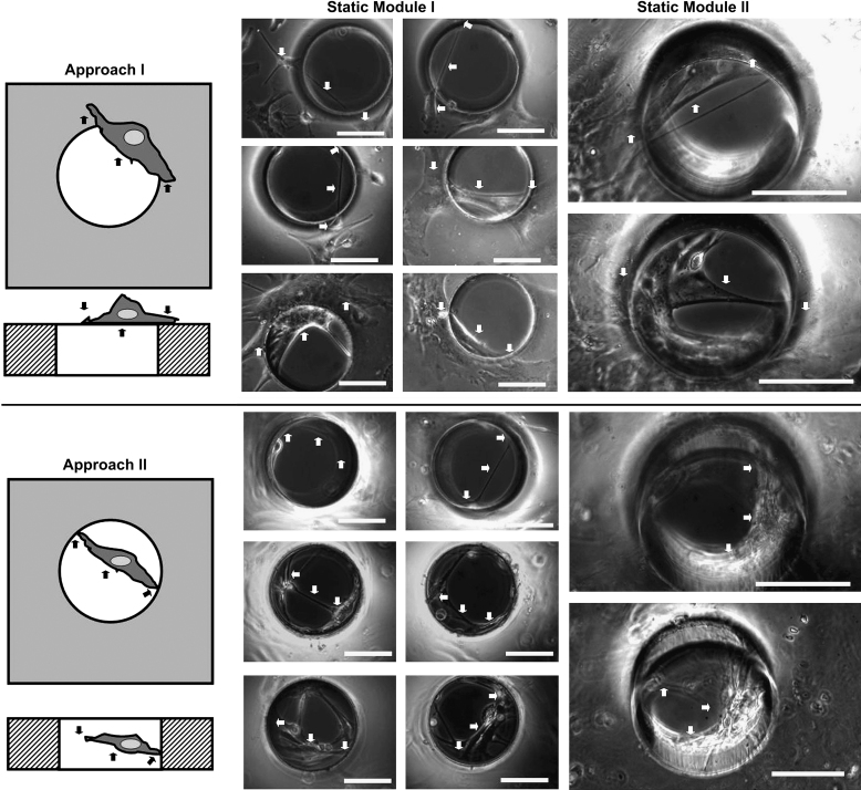 Fig. 4