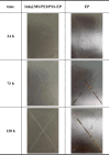 Fig. 13