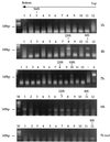 FIG. 6