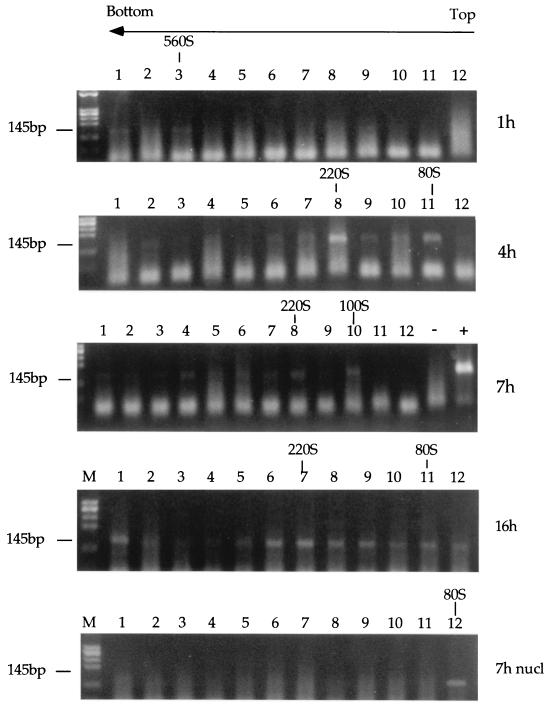 FIG. 6