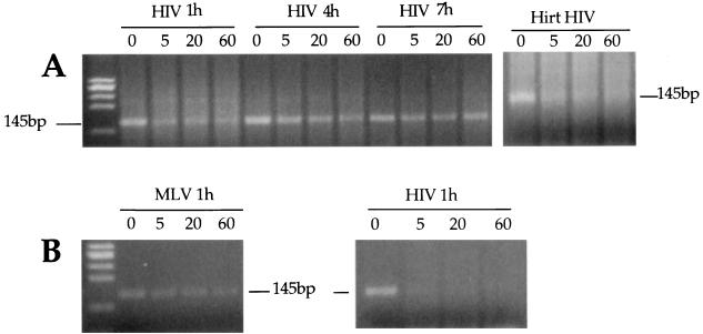 FIG. 7