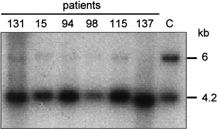 Figure  1