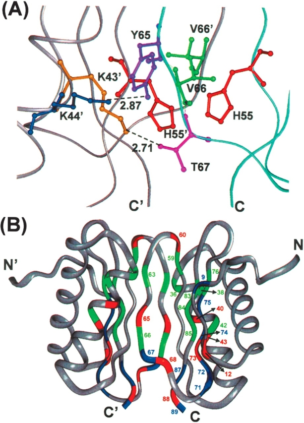 Figure 5.