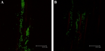 FIG. 8.