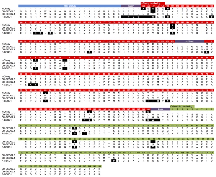 Figure 2.