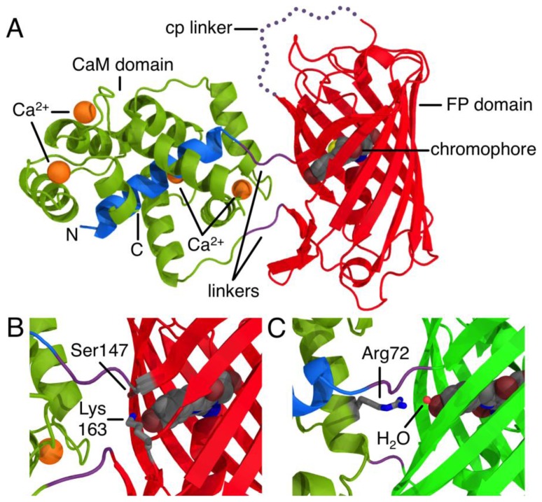 Figure 1.