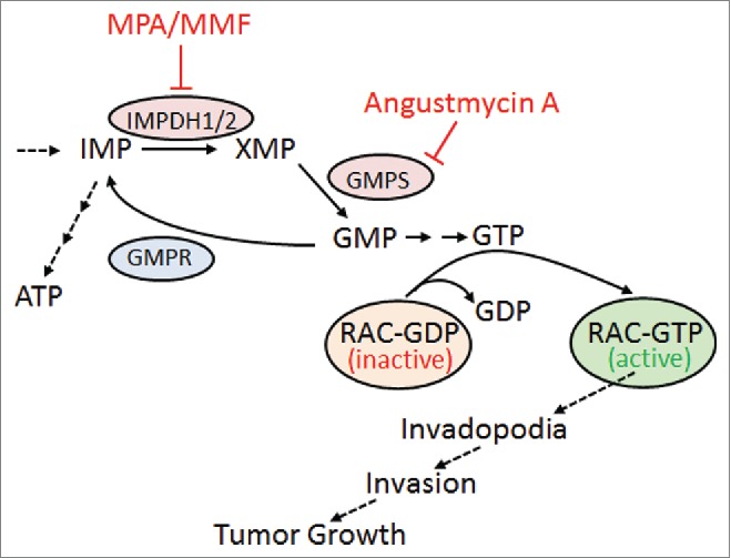 Figure 1.