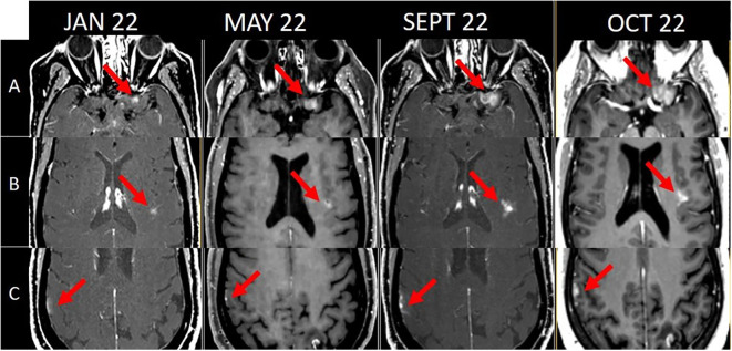 Figure 1