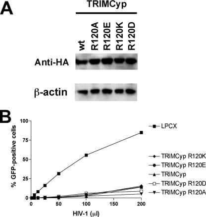 FIG. 11.