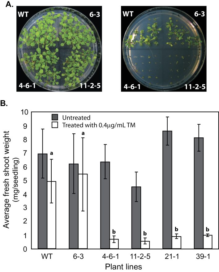 Fig. 4.