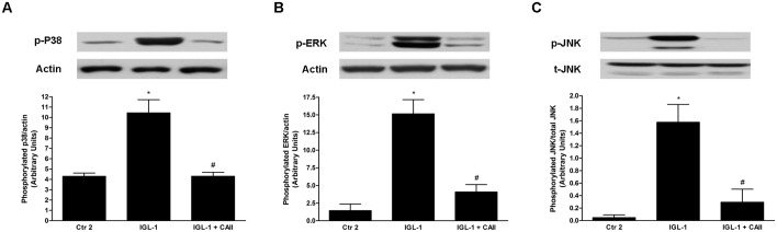 Fig 5