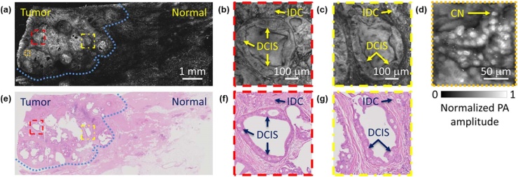 Fig. 14