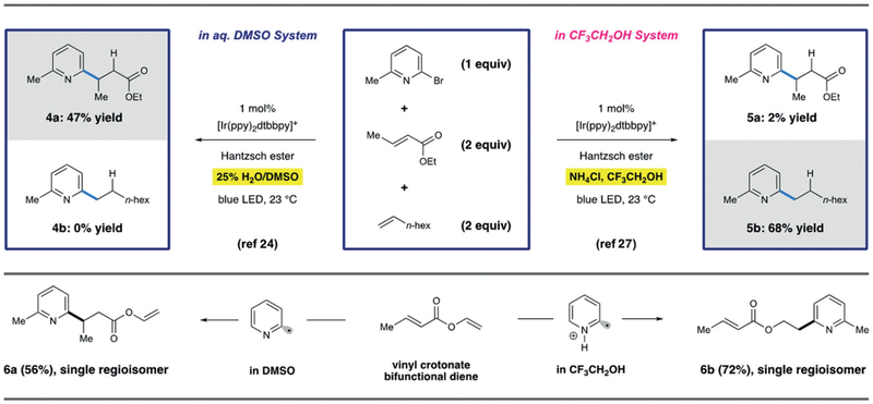 Scheme 6