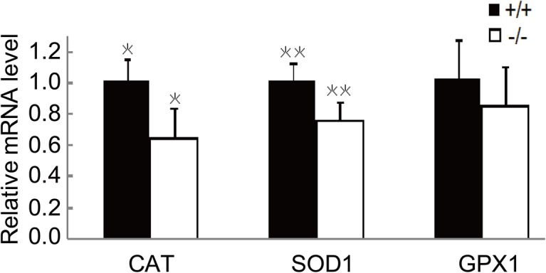 Fig 5