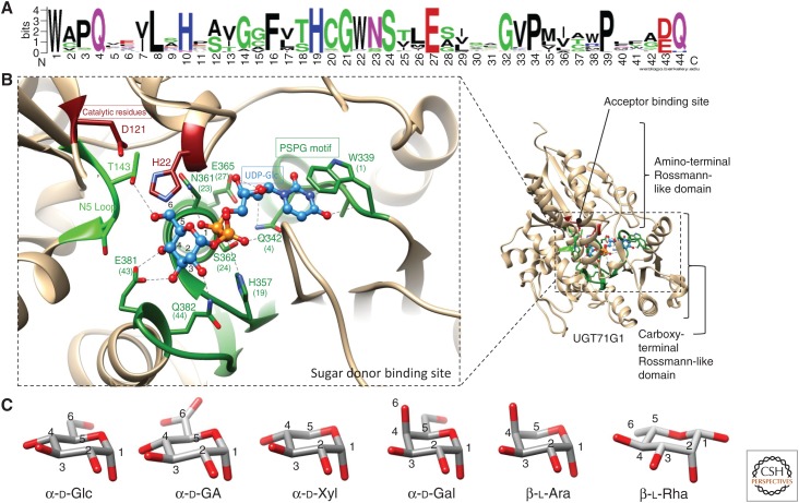 Figure 3.