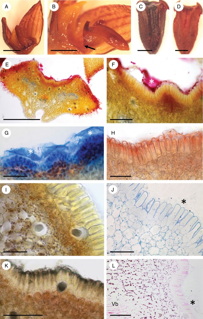 Fig. 6.