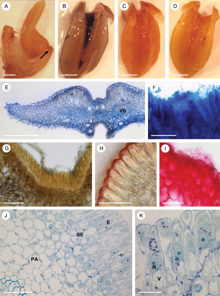 Fig. 3.