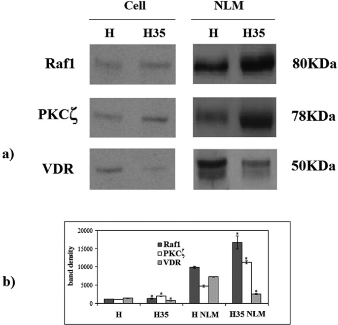 FIGURE 6: