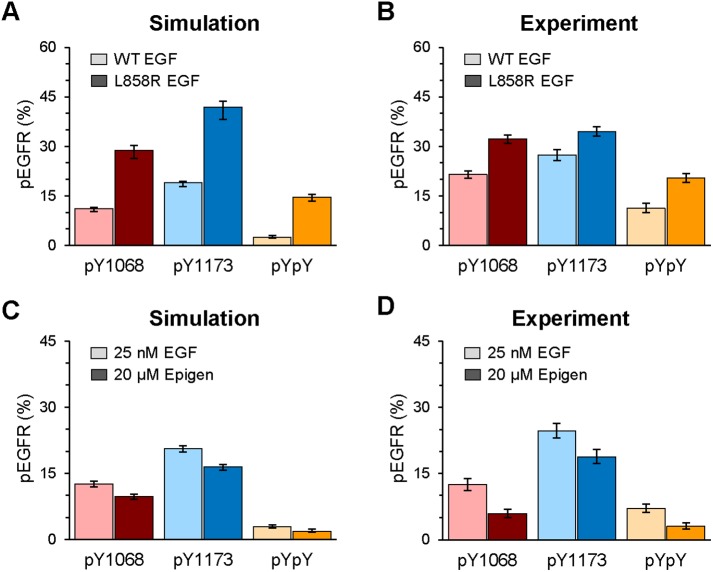 FIGURE 6: