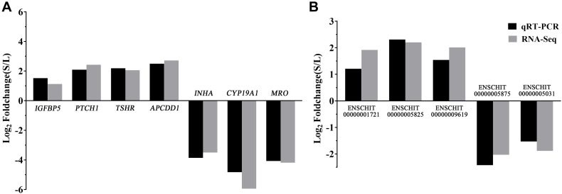 FIGURE 4