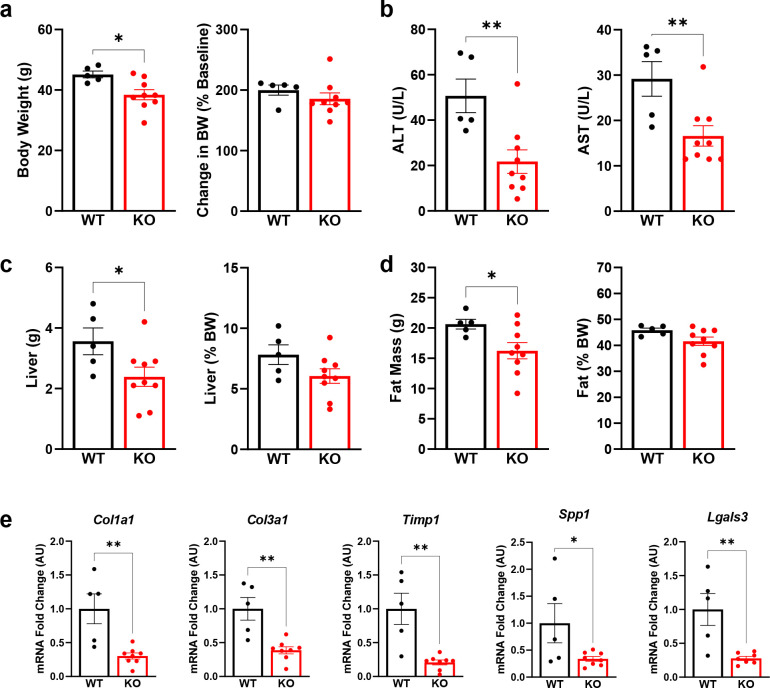 Fig. 7: