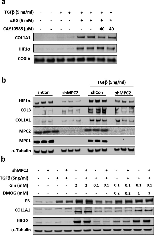 Fig. 4: