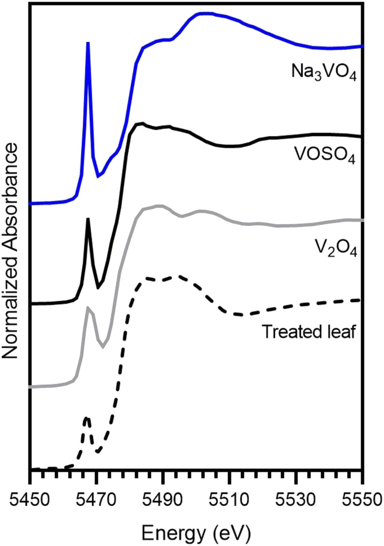 Figure 7.