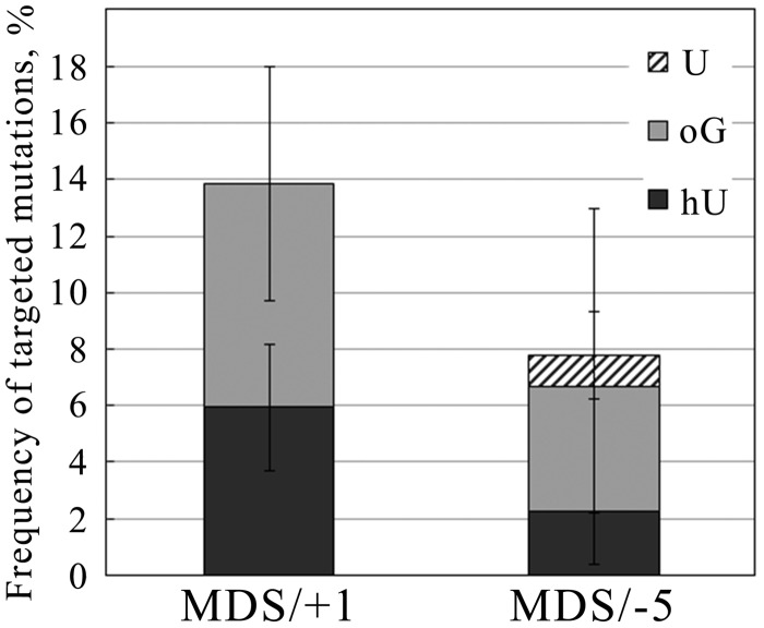 Figure 5.