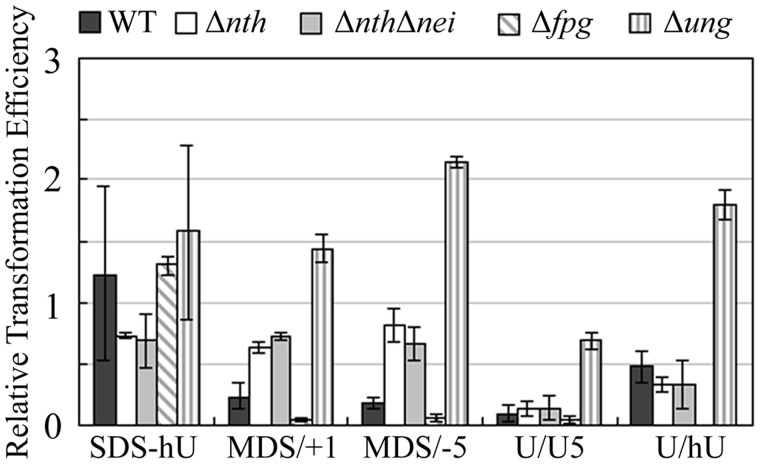 Figure 2.