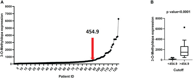 Figure 4