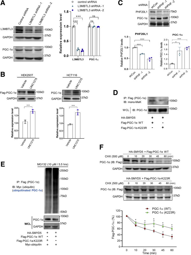 Figure 13