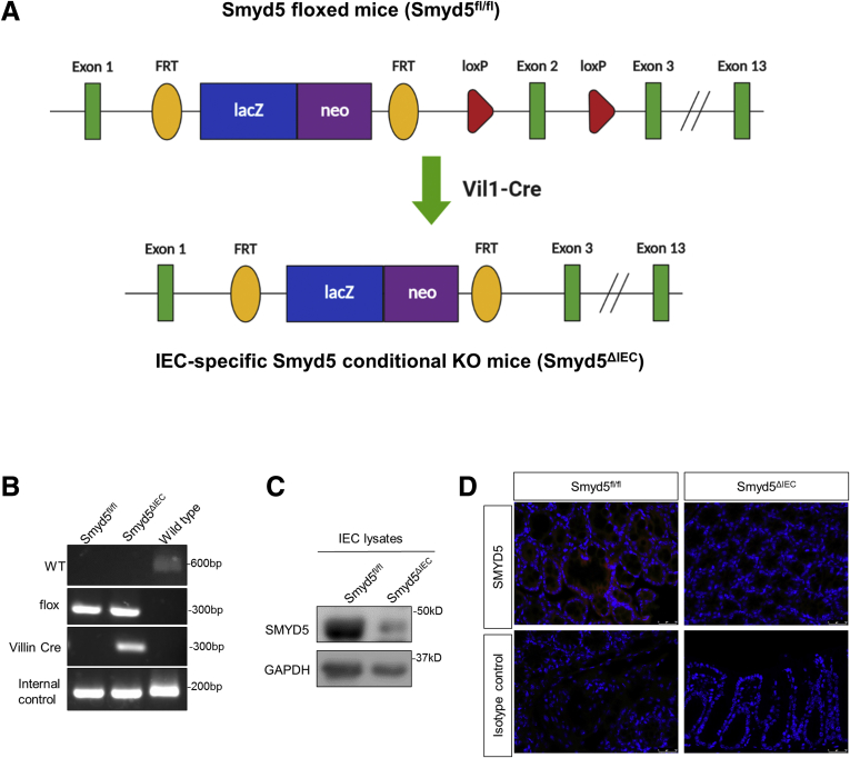 Figure 2