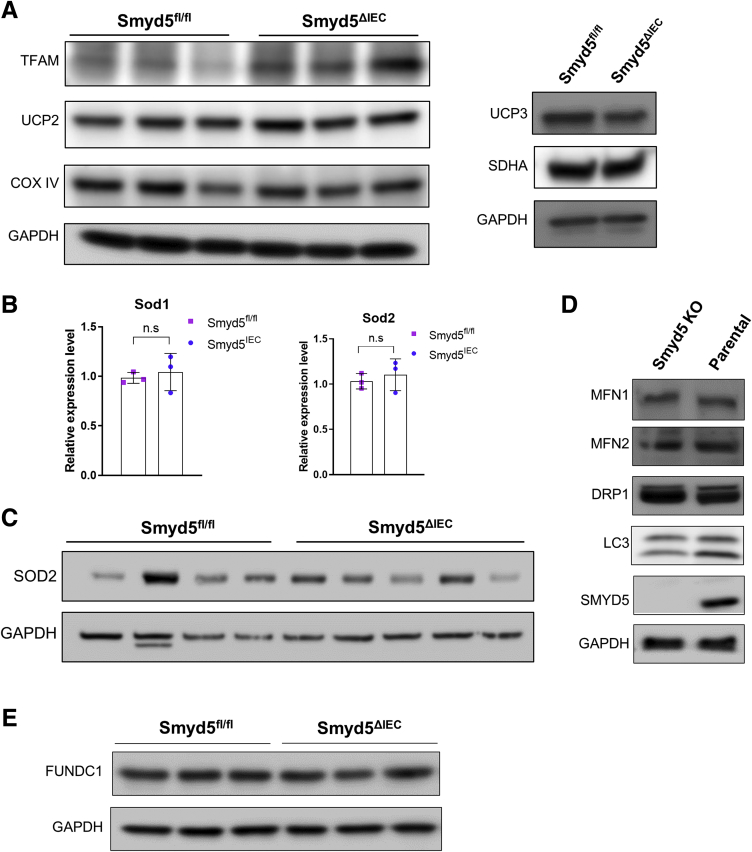 Figure 7