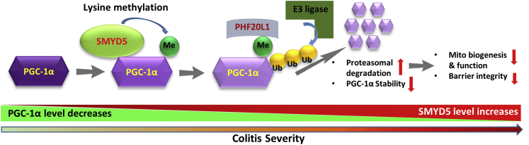 Figure 14