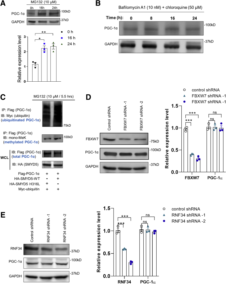 Figure 11