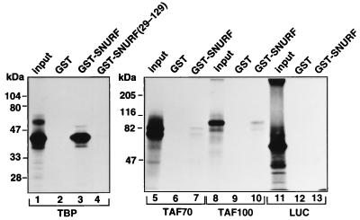 FIG. 10