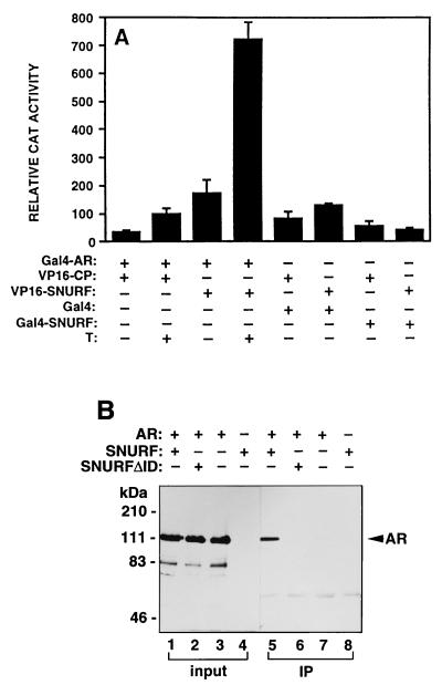 FIG. 6